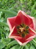 IMG_20160418_170055