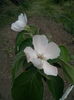 IMG_20160418_170644