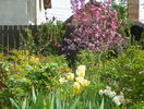 18 apr (55)