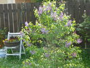 18 apr (67)