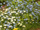 18 apr (29)