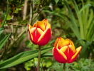 18 apr (66)