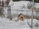 DSCN4541