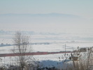DSCN4546