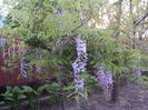 DSC03301