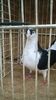 WP_20160417_19_21_51_Pro