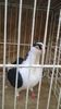 WP_20160417_19_22_16_Pro