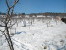 DSCN4549