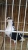 WP_20160417_19_22_21_Pro