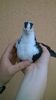 WP_20160417_19_24_47_Pro