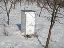 DSCN4551