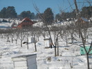 DSCN4553