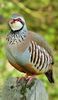 FB_IMG_1461046015898