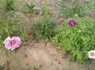 20160418_172244