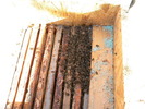 DSCN4581