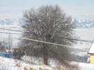 DSCN4587