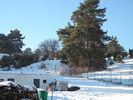 DSCN4599