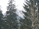 DSCN4641