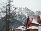 DSCN4642