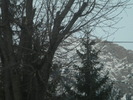 DSCN4657