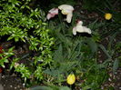 DSCN5149
