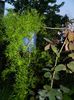 DSCN5171