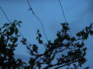DSCN5175