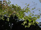DSCN5188
