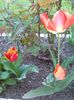 IMG_20160418_171721