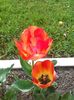 IMG_20160419_095148-1