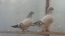 20160417_122414