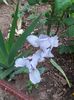 20160419_180445