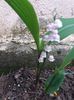 20160419_180532