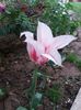 20160419_180833