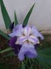 20160419_181020