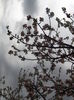 14 april 2016 002