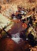 DSC04356