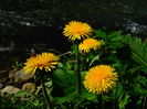 DSC06180