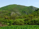 DSC06150