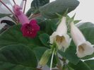 20160419_232558