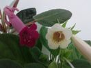 20160419_232624