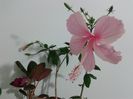 20160419_232857