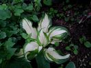IMG_20160419_102454