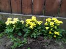 IMG_20160407_082814