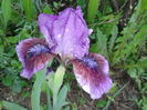 20160420_090647
