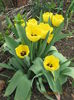 Picture 5817