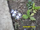 SAM_0604