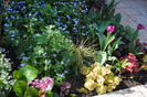 gradina 13 aprilie