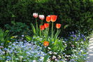 gradina 13 aprilie