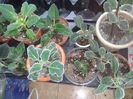 20160419_120019